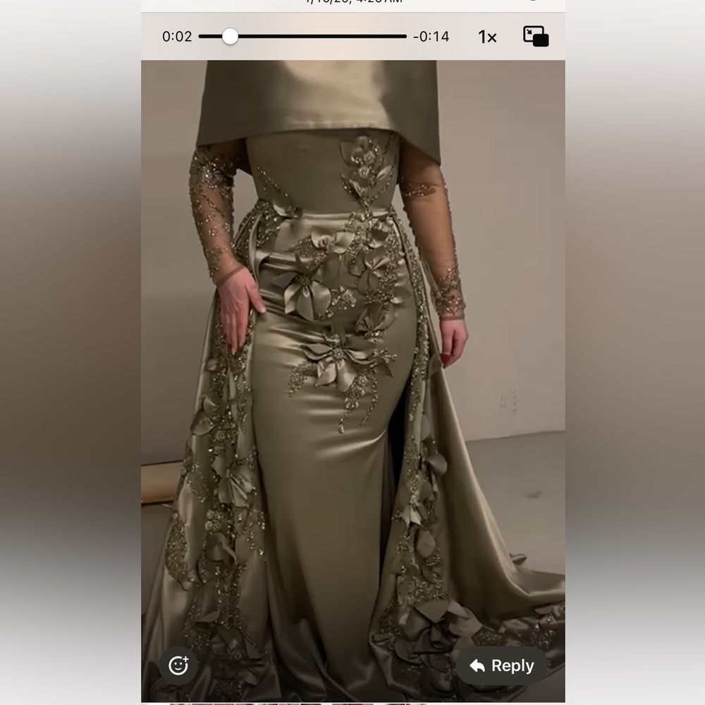 Elegant Olive Green Embellished Evening Gown